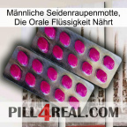 Männliche Seidenraupenmotte, Die Orale Flüssigkeit Nährt 10